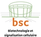 BSC logo