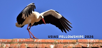 Fellowships 2026