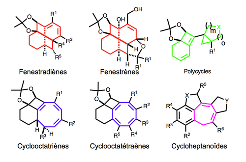 cyclomolecules