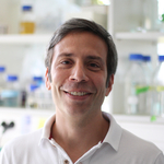 Joao Marques